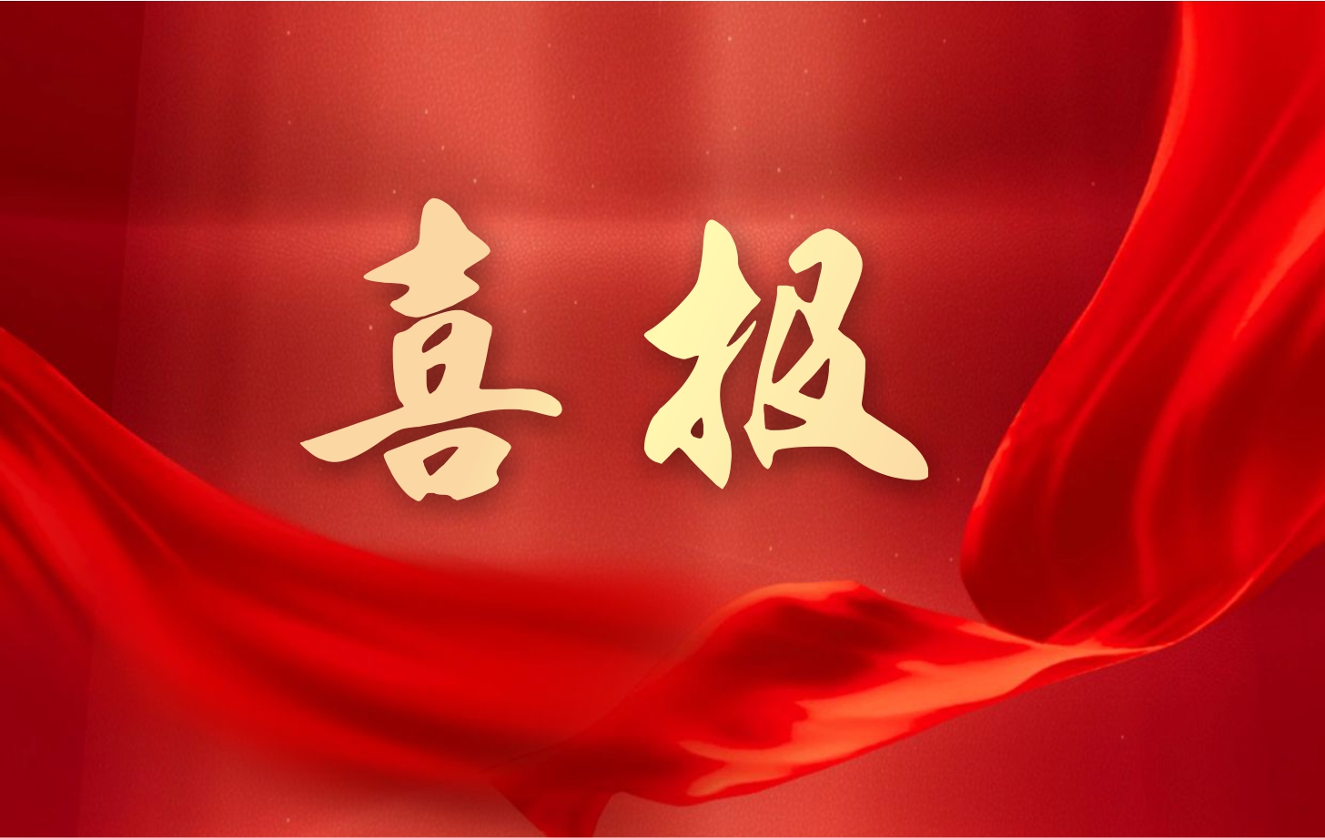 營(yíng)收凈利雙增長(zhǎng)！依頓電子2025年一季度經(jīng)營(yíng)業(yè)績(jī)續(xù)寫(xiě)高質(zhì)量發(fā)展華章